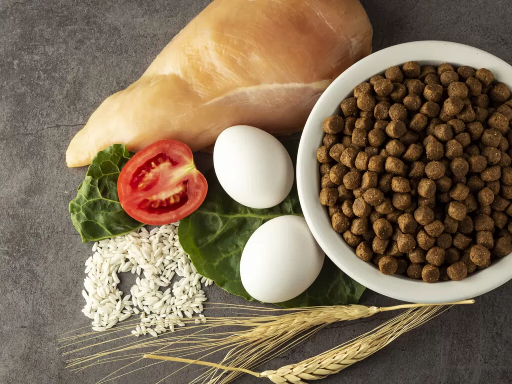 Ração de cachorro com comida natural em volta (tomate, frango, ovo).