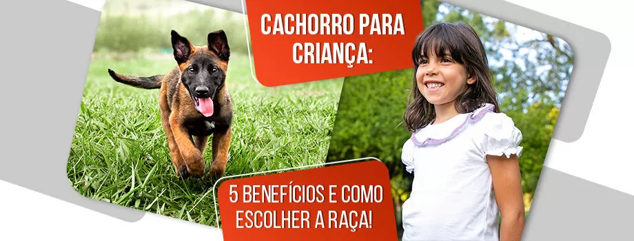 Cachorro para criança: confira 5 benefícios!