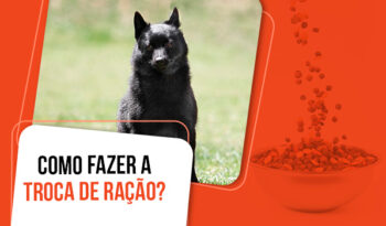 Como fazer a troca de ração do cachorro?